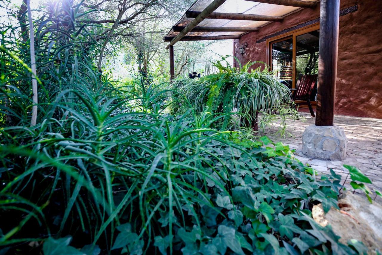 Hotel Tikal Boungalows Malcocinado  Exteriér fotografie